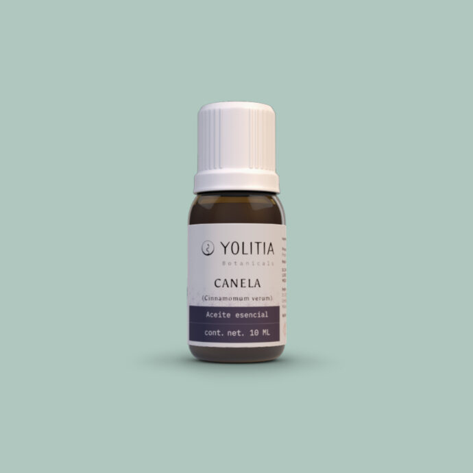 CANELA (Cinnamomum verum) Aceite esencial
